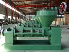 Screw oil Press