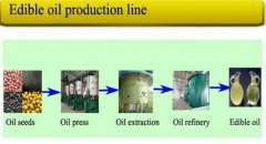 professional rice bran oil production line