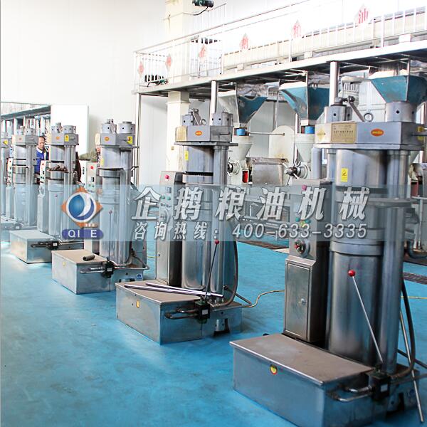 核桃油加工机械设备